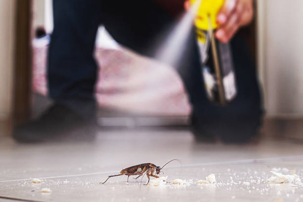 Best Affordable Exterminators  in Hesston, KS