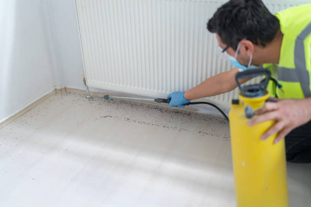 Best Pest Removal Services  in Hesston, KS