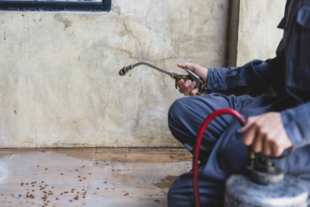 Best Local Pest Control Services  in Hesston, KS
